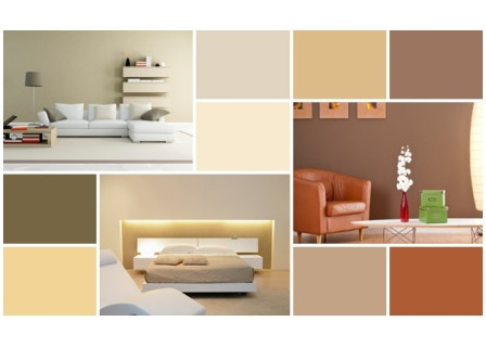 interior-paint-colors-earth